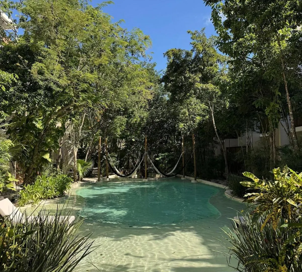 2 Bedroom Jungle Apartment In La Veleta - Palalma Casa Tulum Meksyk