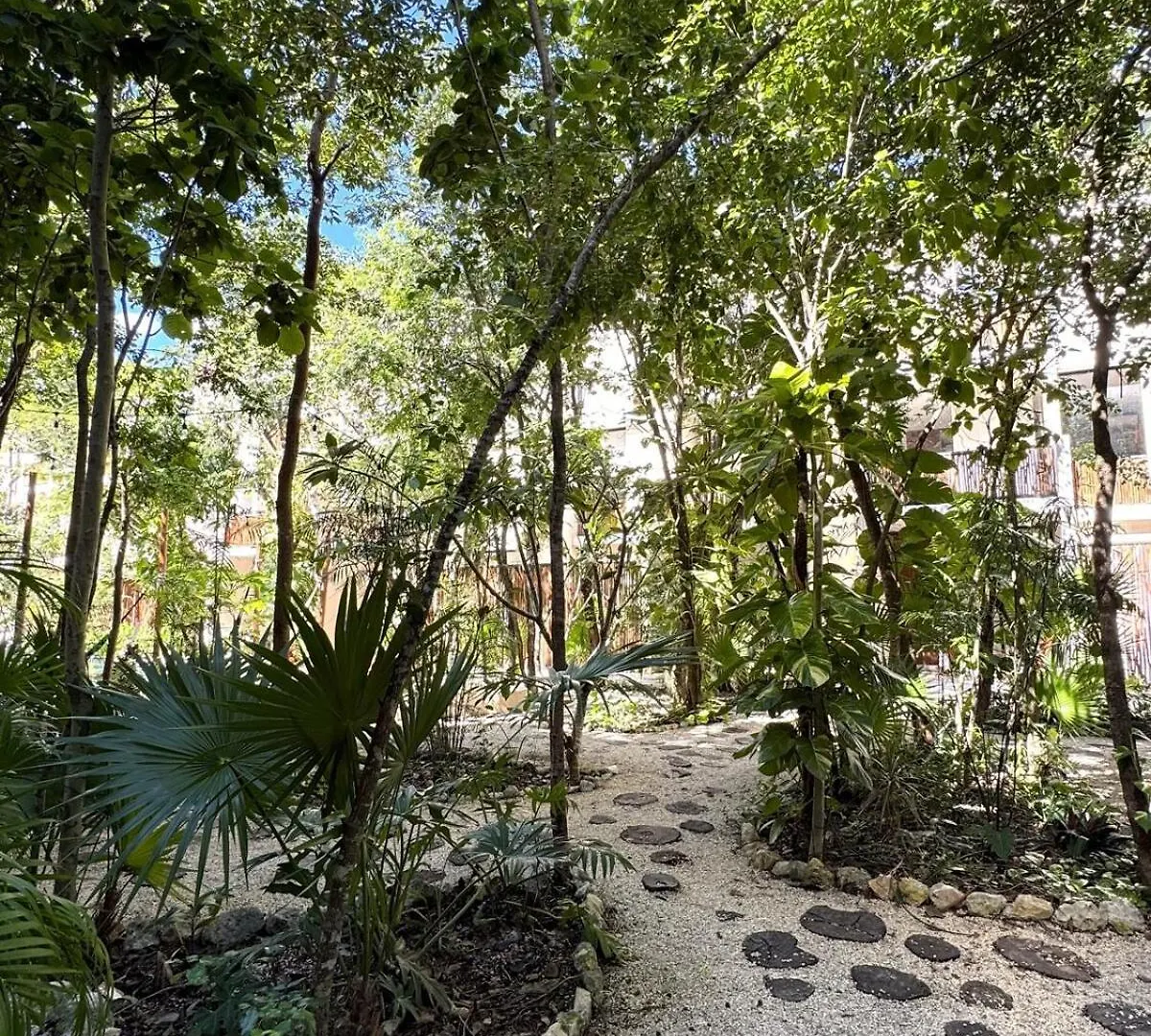 2 Bedroom Jungle Apartment In La Veleta - Palalma Casa Tulum Meksyk